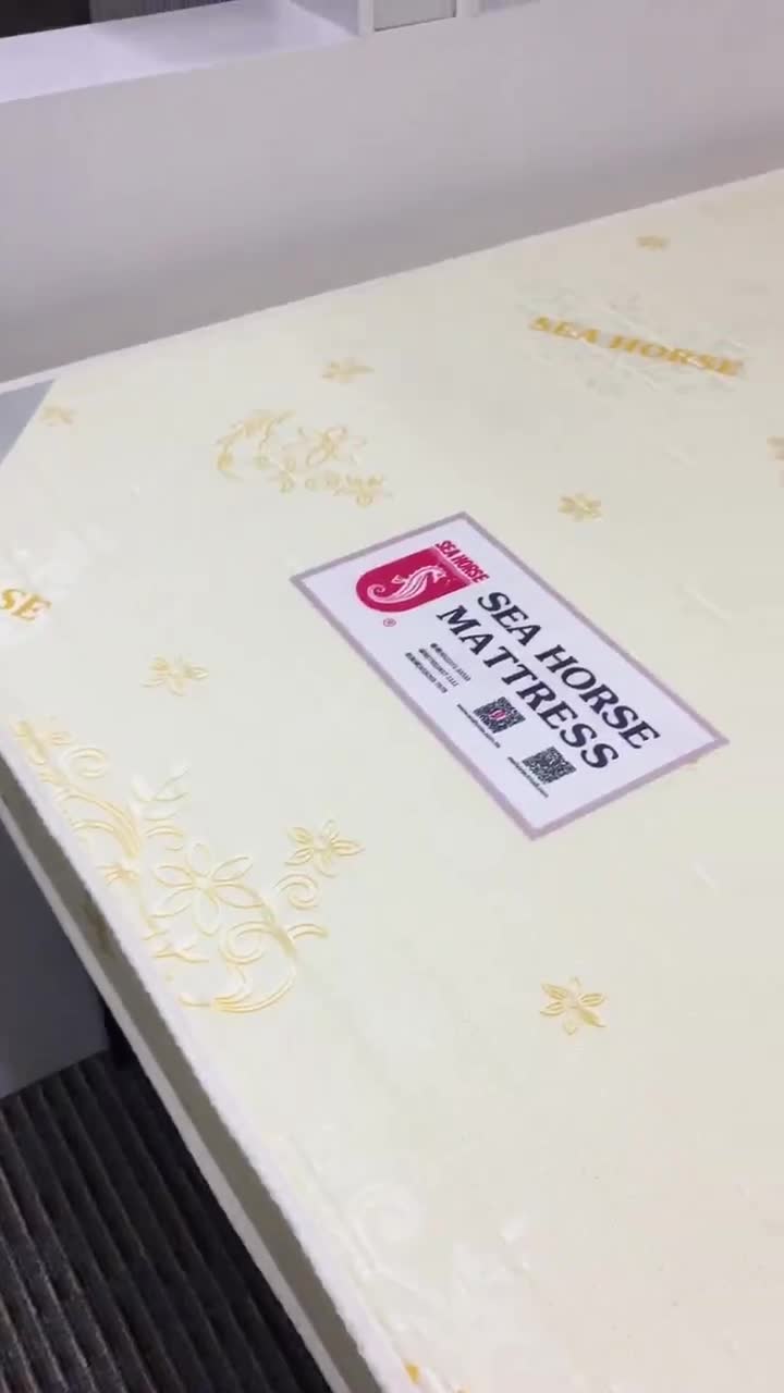 Free Delivery - Seahorse Hard Foam Mattress All Sizes (Single/Super Single/Queen/King) - Choice Furniture